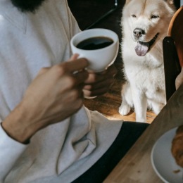 a man drinking coffee near his dog